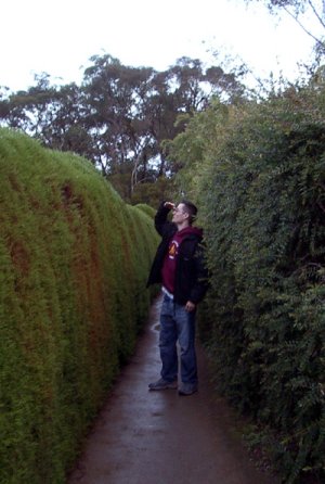 Lost in a Maze